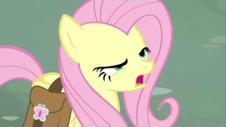 Size: 1280x720 | Tagged: safe, screencap, fluttershy, g4, putting your hoof down
