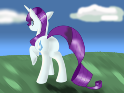 Size: 1024x765 | Tagged: safe, artist:xrainbowicecreamx, rarity, pony, unicorn, g4, butt, female, mare, plot, raised hoof, solo