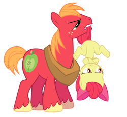 Size: 7619x7000 | Tagged: safe, artist:tardifice, apple bloom, big macintosh, earth pony, pony, g4, the super speedy cider squeezy 6000, absurd resolution, carrying, crossed legs, grumpy, male, simple background, stallion, tail bite, transparent background, upside down, vector