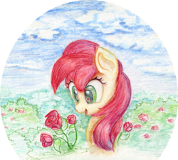 Size: 1000x905 | Tagged: safe, artist:scootiebloom, roseluck, earth pony, pony, g4, female, flower, mare, rose, solo, traditional art