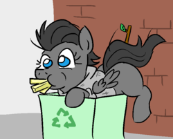 Size: 739x593 | Tagged: safe, artist:jargon scott, oc, oc only, oc:jackie, bird pone, jackdaw, pegasus, pony, clothes, cute, dirty, french fries, hoodie, recycle bin, solo, stick, sweater, trash