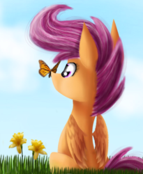 Size: 900x1100 | Tagged: safe, artist:chanceyb, scootaloo, butterfly, pegasus, pony, g4, butterfly on nose, female, flower, insect on nose, solo
