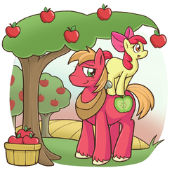 Size: 1000x1021 | Tagged: safe, artist:campus-cats, apple bloom, big macintosh, earth pony, pony, g4, apple, apple tree, male, ponies riding ponies, riding, stallion, tree