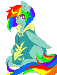 Size: 800x1061 | Tagged: safe, artist:pachiiri, rainbow dash, g4, alternate hairstyle, clothes, female, solo, sweater, wonderbolts