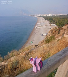 Size: 1415x1600 | Tagged: safe, artist:hellarmy, twilight sparkle, alicorn, pony, g4, antalya, beach, female, figure, mare, mediterranean sea, ponies around the world, toy, turkey (country), twilight sparkle (alicorn)