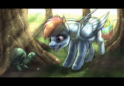 Size: 640x446 | Tagged: safe, artist:arceus55, rainbow dash, tank, g4, letterboxing, tree