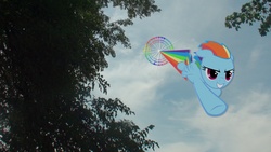 Size: 3840x2160 | Tagged: safe, artist:101pegasister101, rainbow dash, g4, dive bomb, high res, irl, photo, ponies in real life, solo, sonic rainboom, tree, vector