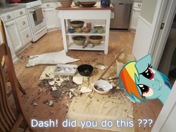 Size: 1024x768 | Tagged: safe, artist:naruto46r, rainbow dash, g4, broken, dishes, irl, kitchen, mess, offscreen character, photo, ponies in real life, text, vector
