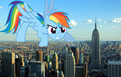 Size: 2000x1280 | Tagged: safe, artist:psychicwalnut, artist:theotterpony, rainbow dash, pegasus, pony, g4, empire state building, female, giant pony, giantess, giga, huge, irl, macro, new york, photo, ponies in real life, solo