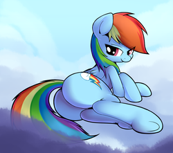 Size: 1600x1412 | Tagged: dead source, safe, artist:sheandog, artist:sourspot, rainbow dash, pegasus, pony, g4, bedroom eyes, butt, female, looking at you, looking back, plot, solo, underhoof