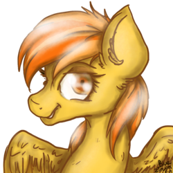 Size: 1000x1000 | Tagged: safe, artist:ziricorn, spitfire, pegasus, pony, g4, female, looking at you, mare, portrait, solo