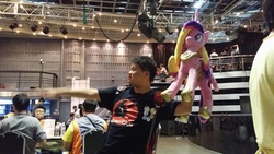 Size: 960x540 | Tagged: safe, princess cadance, human, g4, brony, epic wife tossing, fastball special, irl, irl human, photo, plushie