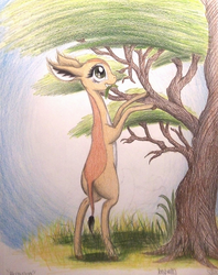 Size: 1068x1350 | Tagged: safe, artist:thefriendlyelephant, oc, oc only, oc:nuk, gerenuk, acacia tree, africa, animal in mlp form, big ears, browsing, cloven hooves, grass, smiling, solo, traditional art, tree