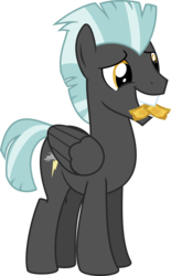 Size: 2000x3228 | Tagged: safe, artist:fonypony, thunderlane, pegasus, pony, g4, backwards cutie mark, cute, gala ticket, golden ticket, gritted teeth, high res, male, mouth hold, simple background, smiling, solo, stallion, thunderbetes, transparent background, vector