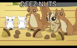 Size: 1920x1200 | Tagged: safe, edit, edited screencap, screencap, chipmunk, mouse, rodent, squirrel, g4, magical mystery cure, acorn, animal, deez nuts, image macro, meme, nuts