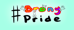 Size: 4900x2000 | Tagged: safe, pony, brony pride, facebook cover, generic pony, hashtag, logo, multiple characters, text