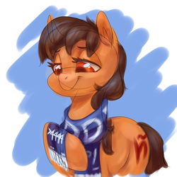 Size: 1500x1500 | Tagged: safe, artist:mav, oc, oc only, oc:maría teresa de los ponyos paguetti, pony, 4chan, 4chan cup, 4chan cup scarf, clothes, scarf, sketch, solo