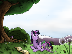 Size: 2720x2040 | Tagged: safe, artist:poecillia-gracilis19, spike, starlight glimmer, twilight sparkle, alicorn, pony, g4, book, female, high res, mare, outdoors, relaxing, twilight sparkle (alicorn)