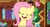 Size: 1280x683 | Tagged: safe, screencap, fluttershy, g4, my little pony: friendship is magic, stare master