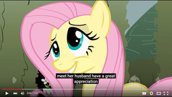 Size: 854x480 | Tagged: safe, screencap, fluttershy, g4, female, meme, solo, youtube caption