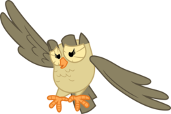 Size: 3566x2377 | Tagged: safe, artist:porygon2z, owlowiscious, bird, owl, g4, high res, male, pet, simple background, solo, transparent background, vector