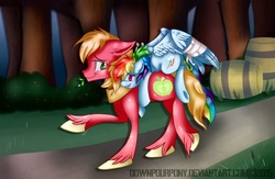 Size: 1106x723 | Tagged: safe, artist:downpourpony, big macintosh, rainbow dash, earth pony, pegasus, pony, g4, backwards cutie mark, male, ponies riding ponies, riding, ship:rainbowmac, shipping, stallion, straight, unshorn fetlocks