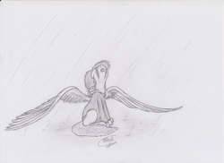 Size: 1280x930 | Tagged: safe, artist:raw16, oc, oc only, oc:ray muller, pegasus, pony, clothes, crying, female, hoodie, monochrome, rain, sad, solo, spread wings, traditional art, wings