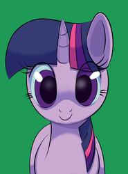 Size: 816x1101 | Tagged: safe, artist:siberwar, twilight sparkle, g4, female, green background, palindrome get, simple background, solo