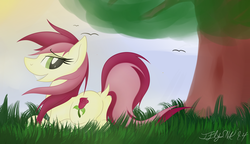 Size: 5200x3000 | Tagged: safe, artist:iflysna94, roseluck, earth pony, pony, g4, butt, dock, female, mare, plot, rosebutt, solo, tail