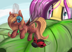 Size: 1400x1000 | Tagged: safe, artist:xxcrazzzyxx, fluttershy, oc, ladybug, pony, g4, duo