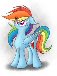 Size: 1200x1600 | Tagged: safe, artist:php66, rainbow dash, g4, fluffy, solo