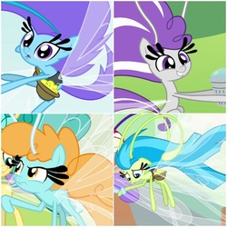 Size: 600x600 | Tagged: safe, screencap, breezette, cerulean thistle, ghostberry, twirly, windfall, breezie, g4, it ain't easy being breezies, collage, cropped, female, male