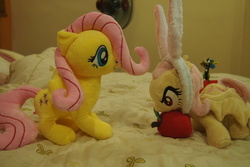 Size: 1095x730 | Tagged: safe, artist:dynasty-dawn, photographer:dynasty-dawn, discord, fluttershy, g4, apple, bed, duality, flutterbat, food, irl, opening, photo, plushie, self ponidox, toy