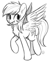 Size: 500x590 | Tagged: safe, artist:hawthornss, rainbow dash, g4, black and white, chest fluff, female, grayscale, looking at you, monochrome, open mouth, raised hoof, sketch, solo