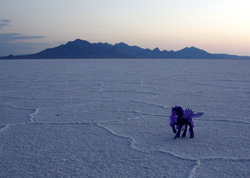 Size: 3440x2451 | Tagged: safe, nightmare moon, ask bikemare moon, g4, bonneville salt flats, brushable, high res, irl, mountain, photo, ponies around the world, salt flats, solo, toy, tumblr