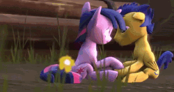 Size: 686x362 | Tagged: safe, edit, flash sentry, twilight sparkle, g4, 3d, animated, female, imminent kissing, male, ship:flashlight, shipping, shy, source filmmaker, straight