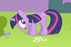 Size: 990x660 | Tagged: safe, artist:dm29, twilight sparkle, alicorn, pony, g4, female, frown, grass, grazing, herbivore, horses doing horse things, looking back, mare, open mouth, secret shame, solo, twilight sparkle (alicorn), wide eyes