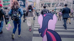 Size: 1280x719 | Tagged: safe, artist:estories, artist:novi-ta, spike, twilight sparkle, human, g4, crosswalk, irl, japan, photo, ponies in real life, rear view, street, vector