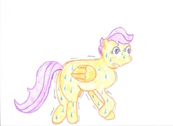 Size: 2338x1700 | Tagged: safe, artist:cmc--scootaloo, scootaloo, g4, female, scared, shaking, shivering, solo, sweat
