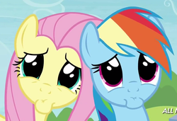 Size: 827x567 | Tagged: safe, screencap, fluttershy, rainbow dash, g4, trade ya!, cute, faic, sad face