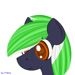 Size: 2500x2500 | Tagged: safe, artist:asknoxthepony, oc, oc only, oc:moonlit ace, high res, male, portrait, solo