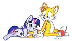 Size: 1975x1145 | Tagged: safe, artist:silversimba01, twilight sparkle, g4, crossover, male, miles "tails" prower, sonic team, sonic the hedgehog (series), traditional art