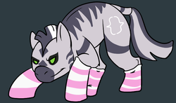 Size: 662x390 | Tagged: safe, artist:crossybear, oc, oc only, oc:zebra north, zebra, clothes, femboy, male, racing, simple background, socks, solo, stallion, striped socks, zebra femboy, zebra oc