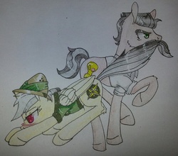 Size: 952x839 | Tagged: safe, artist:bleedingwings12, daring do, doctor caballeron, g4, blushing, female, male, ship:daballeron, shipping, straight, tail, tail pull, traditional art