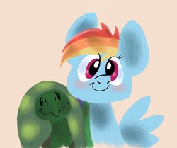 Size: 863x723 | Tagged: safe, artist:naivintage, rainbow dash, tank, pegasus, pony, tortoise, g4, cute