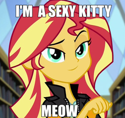 Size: 1063x1007 | Tagged: safe, sunset shimmer, equestria girls, friendship games, g4, behaving like a cat, female, image macro, meme, solo