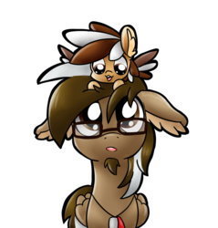 Size: 1024x1069 | Tagged: safe, artist:amberlea-draws, oc, oc only, oc:smores, oc:yoshi ringo, pegasus, pony, :3, :o, colored wings, colored wingtips, confused, cute, dog tags, ear fluff, floppy ears, goatee, looking up, male, open mouth, ponies riding ponies, pony hat, riding, simple background, size difference, smiling, stallion, tiny ponies, transparent background