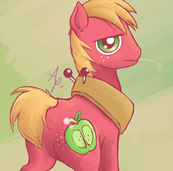 Size: 599x592 | Tagged: safe, artist:a6p, big macintosh, earth pony, pony, g4, big backintosh, big macintosh's yoke, butt, featureless crotch, looking at you, male, mane, plot, short mane, solo, stallion