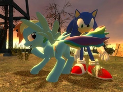 Size: 1024x768 | Tagged: safe, artist:migueruchan, artist:niban-destikim, rainbow dash, pony, g4, 3d, butt, crossover, gmod, male, plot, scene interpretation, seduction, sonic the hedgehog, sonic the hedgehog (series), tail seduce