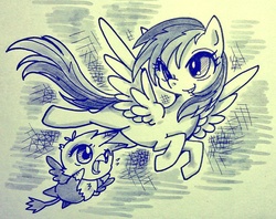 Size: 1024x811 | Tagged: safe, artist:sugai, gilda, rainbow dash, griffon, g4, cute, gildadorable